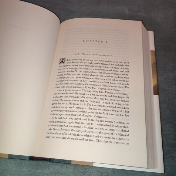 Book Lake News Barbara Delinsky Bestseller Novel self discovery justice life - Picture 7 of 8